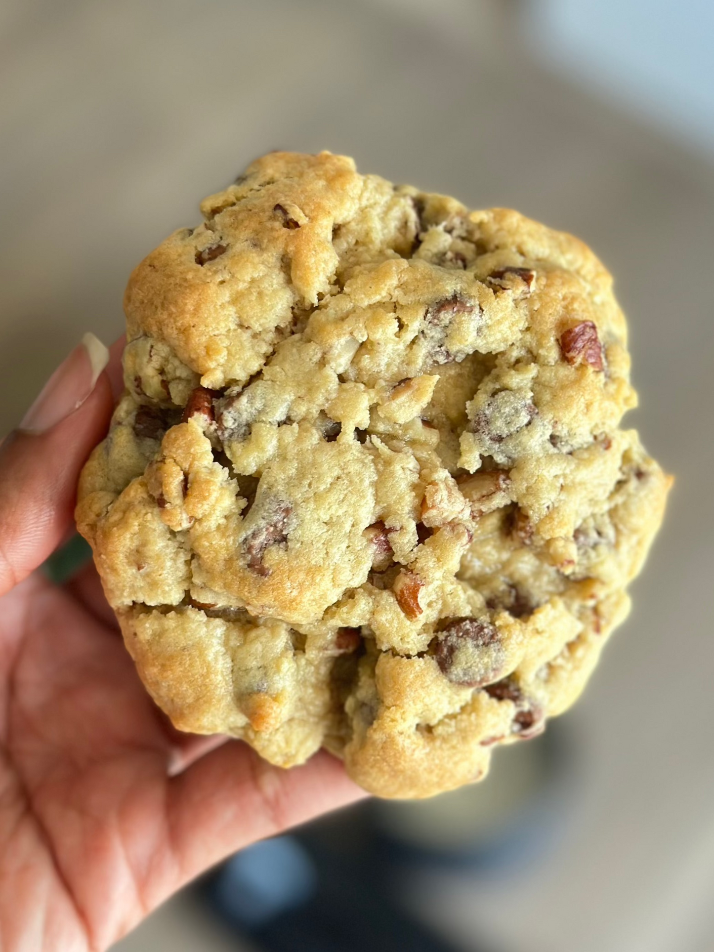 Milk Chocolate Pecan Cookie